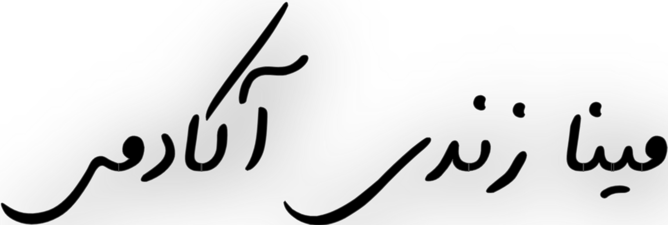 مینازندی آکادمی